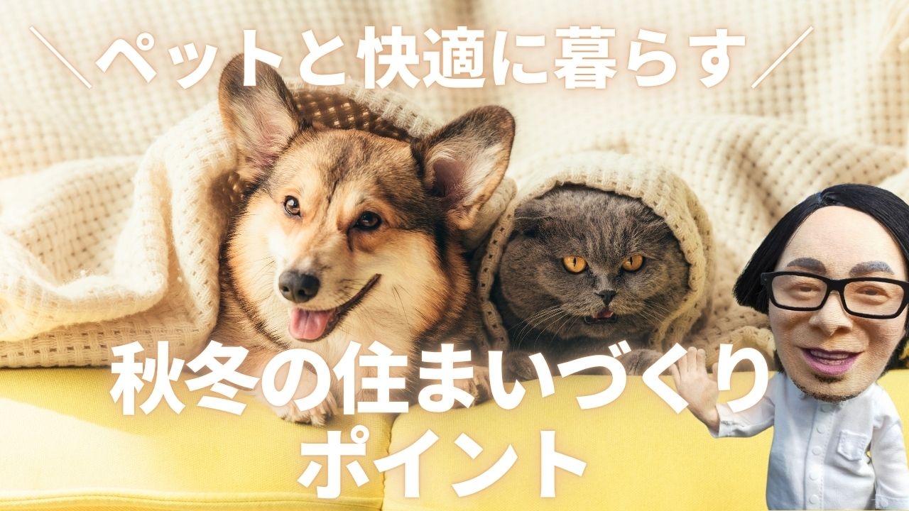 ペットと快適に暮らす、秋冬の住まいづくりポイント